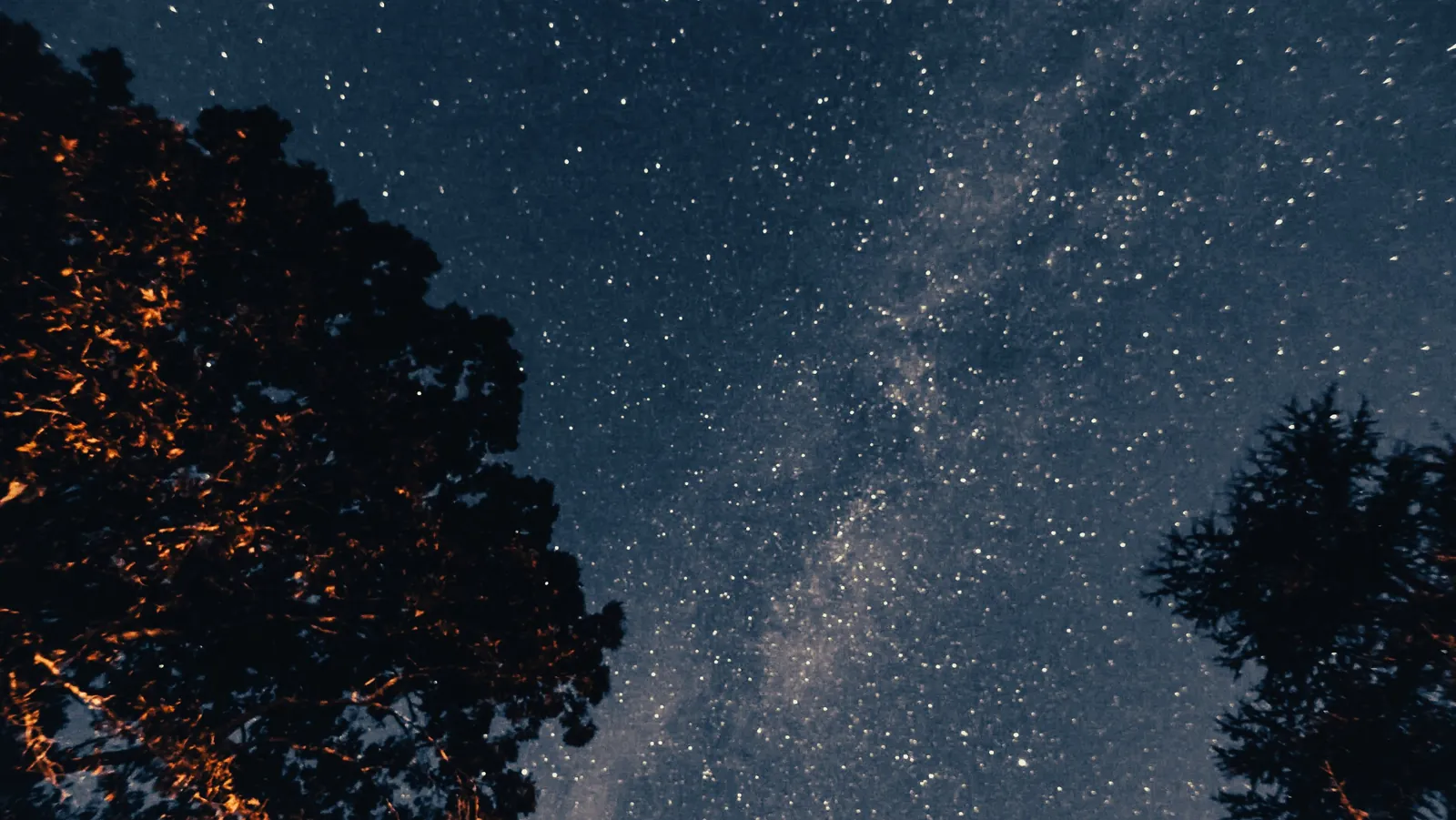 A star filled night sky over the fields at The Horse Shoe Farm
